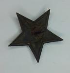 Star in the Red Army, standard 1922