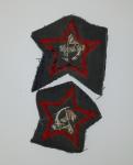 Set arm-Star Red Army political instructor