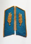 Buttonholes General of the Air Force obr.1958