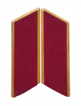 Parade collar tabs for the Honor Guard Company
