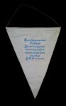 Pennant  - UNION GAME - " Octobrists the country in October "
