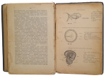 "The Sexual Question" issue 1, 1906