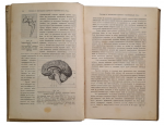 "The Sexual Question" issue 1, 1906
